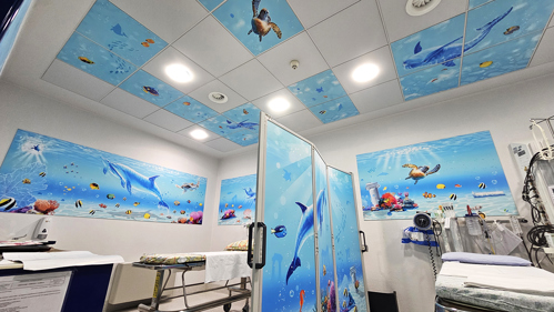 Risonanza Magnetica Rm La Nostra Famiglia Ospedali Dipinti