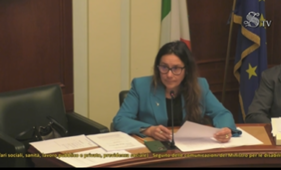 il ministro in senato
